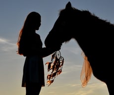 horse love